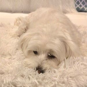 Meet your Posher, Marisela